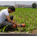 alimentazione agricoltura