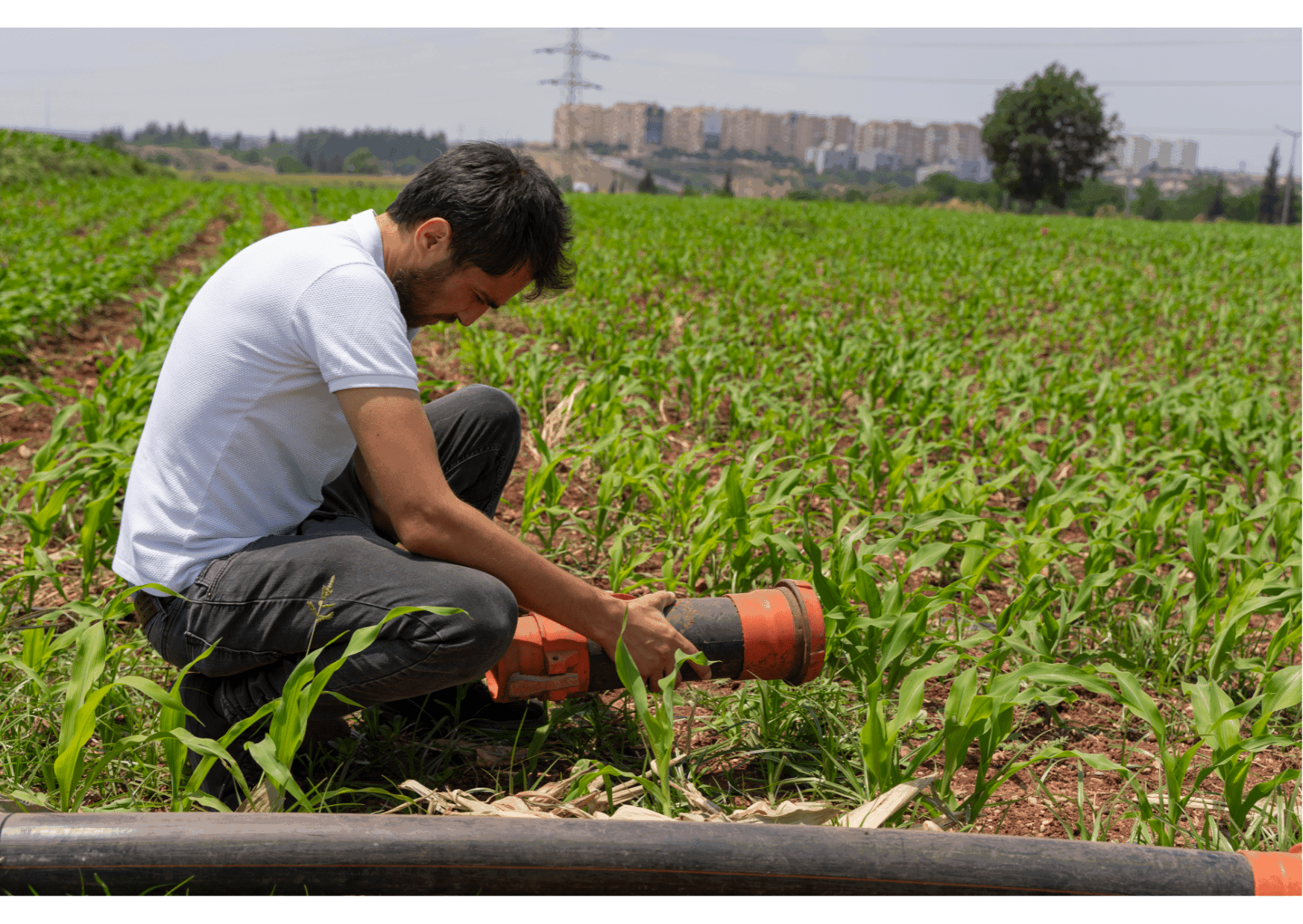 alimentazione agricoltura