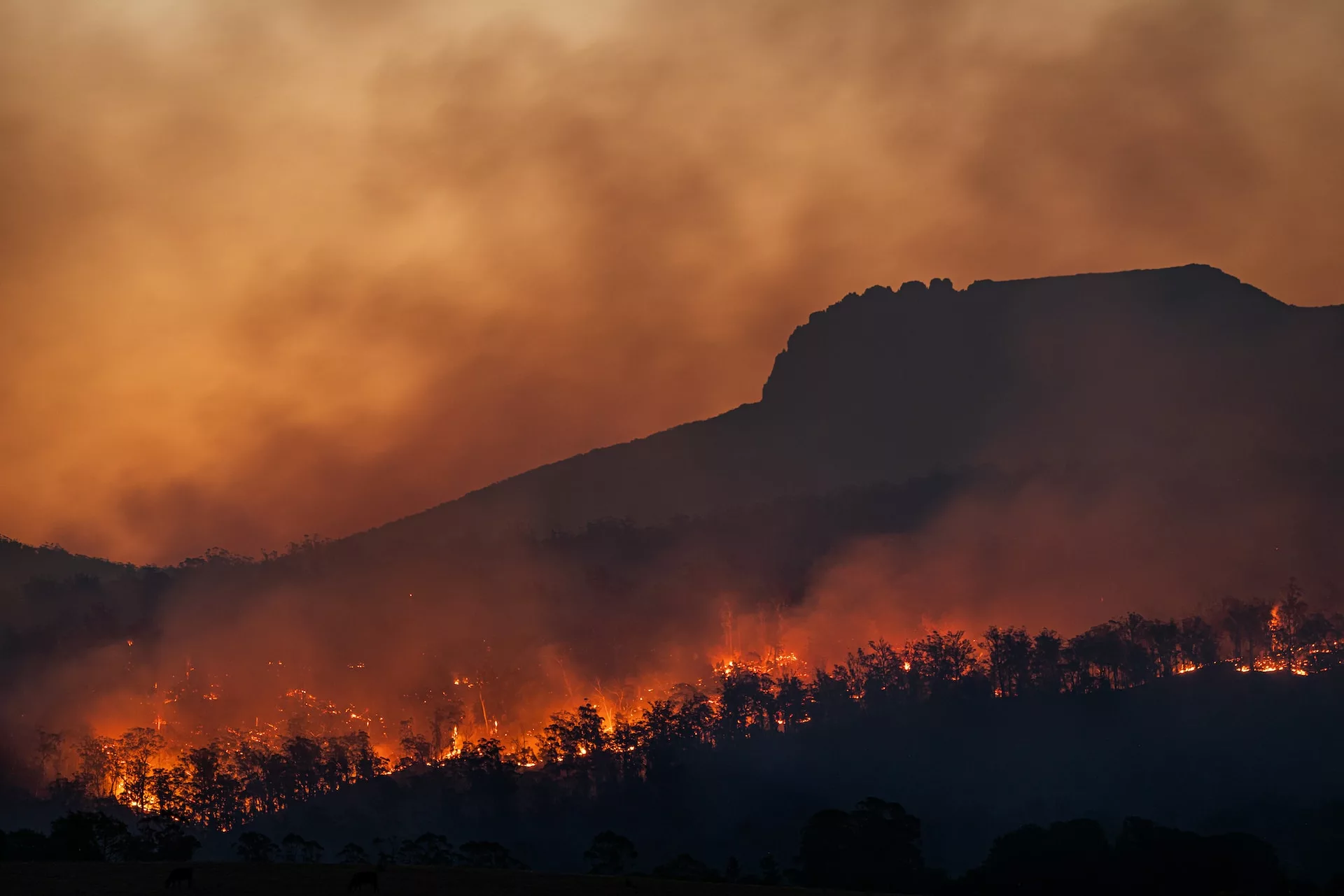 cambiamento climatico riscaldamento globale