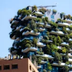 edifici