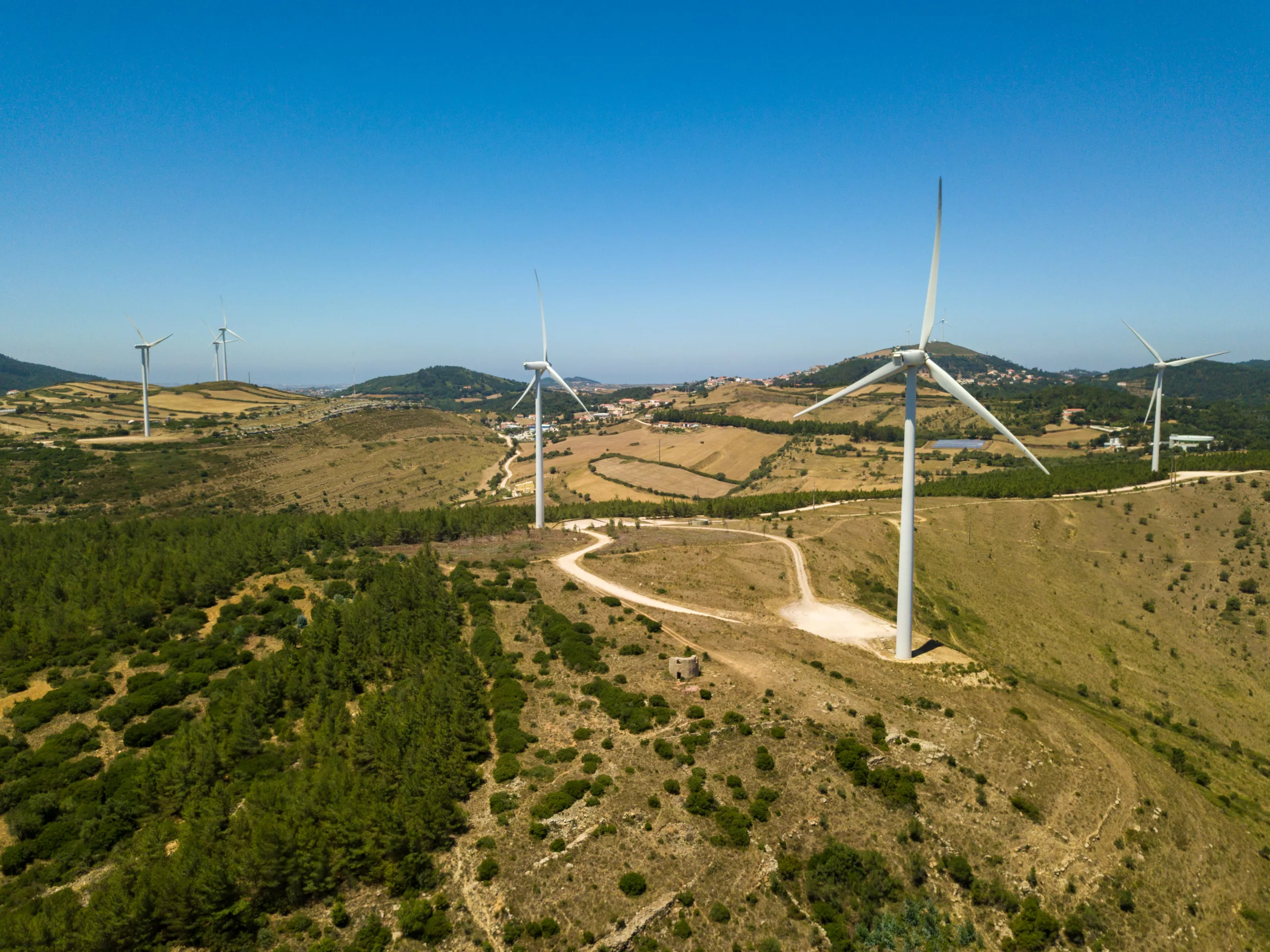 bei decarbonizzazione