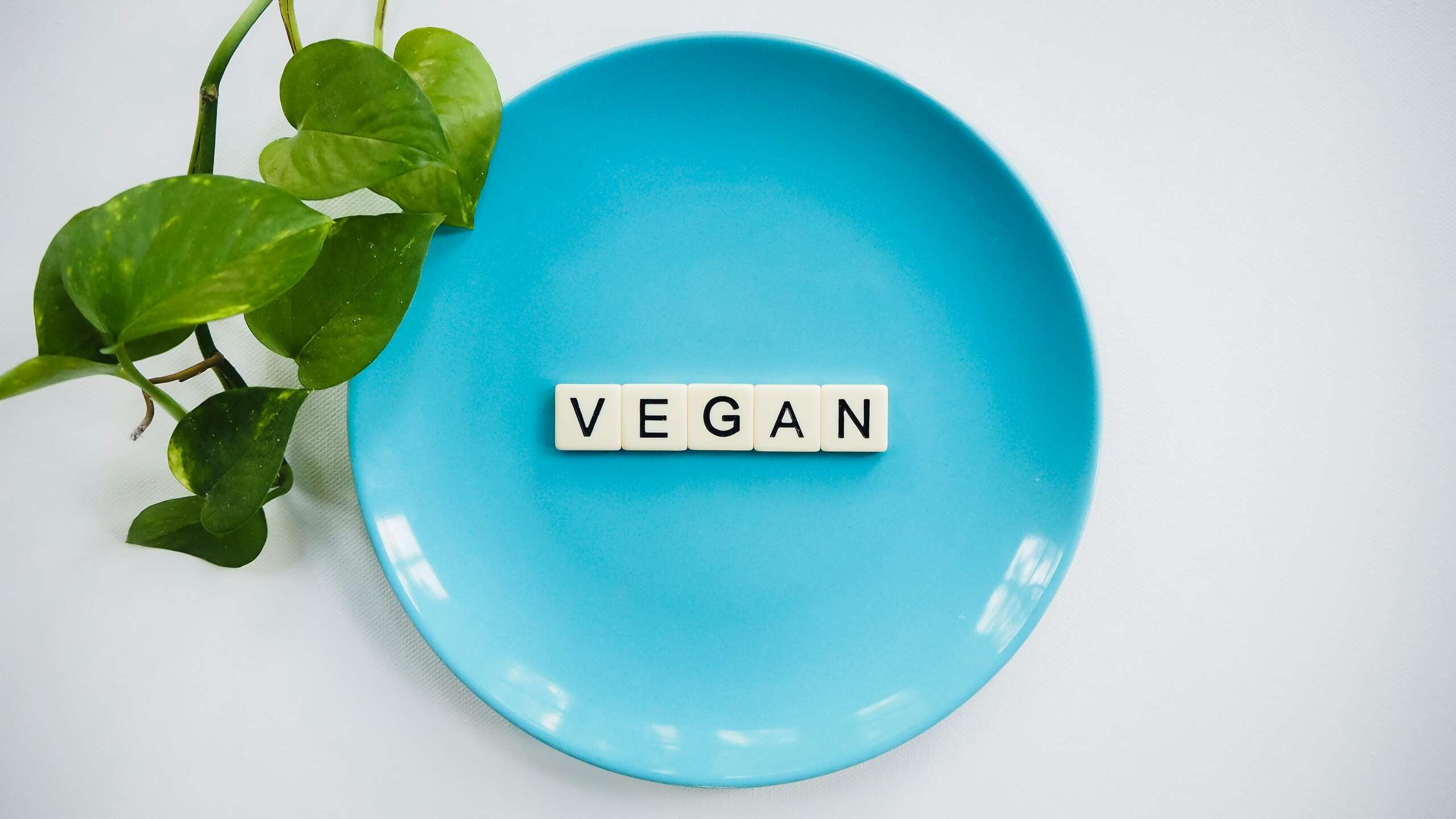 veganOK